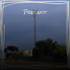 Precinct