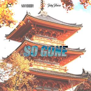 So Gone (feat. NavyDuddy & Baby Bleeze) (Explicit)