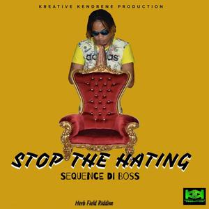 Stop The Hating