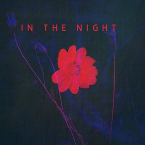 In The night