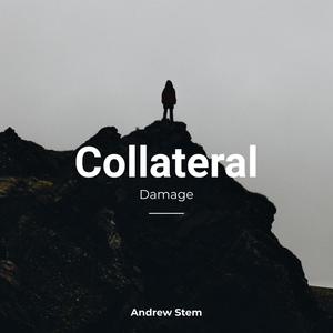 Collateral Damage