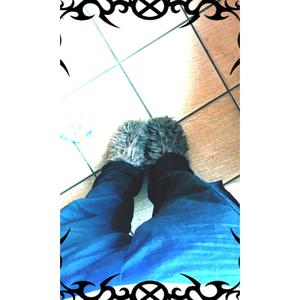 N ! ggers (Explicit)