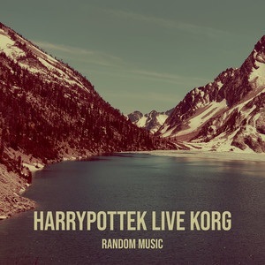 harrypottek live Korg