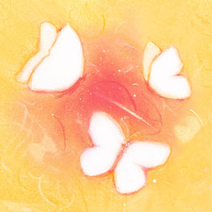 银河 - 어루만져 줄게요 (Pat Pat)