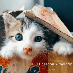 Dj El Perdon X Melody (Remix)