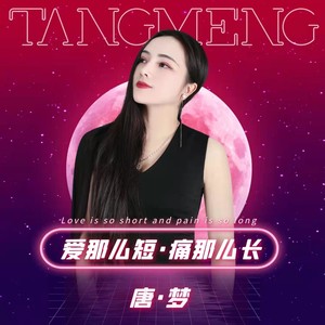 爱那么短痛那么长 女版 (DJ佐罗版)