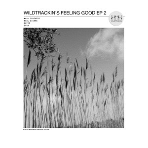 Wildtrackin's Feeling Good 2
