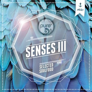 Pure Senses - Selected Soulfood, Vol. 3