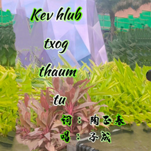 Kev Hlub Txog Thaum Tu