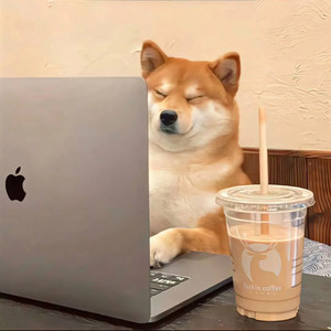 如果声音不记得