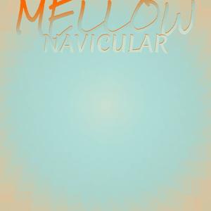 Mellow Navicular