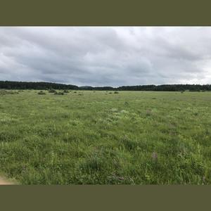 学习音乐是件很赞的事