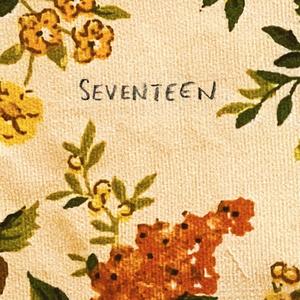 Seventeen