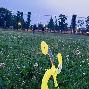 Everyday day (Explicit)