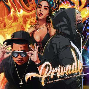 Privado(feat. Miimox) (Explicit)