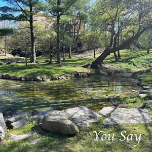 You Say (feat. Sam Garcia)