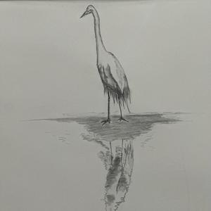 Heron