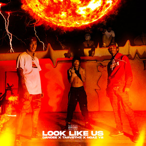 Look Like Us (Explicit)