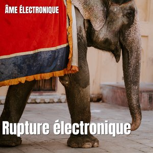 Rupture e'lectronique