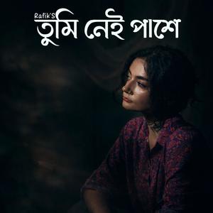 তুমি নেই পাশে