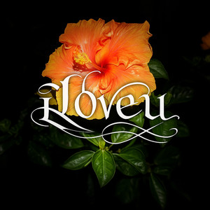 iloveu
