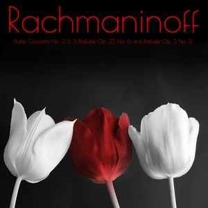 Piano Concerto No. 2 in C Minor, Op. 18 - I. Moderato