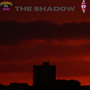 The Shadow