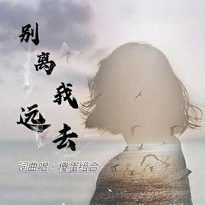 别离我远去