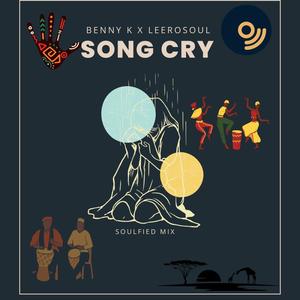 Song Cry (feat. LeeroSoul) (Soulfied Mix)