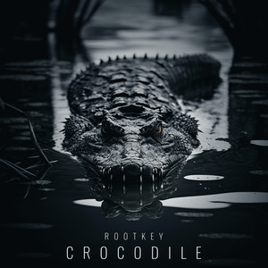 Crocodile