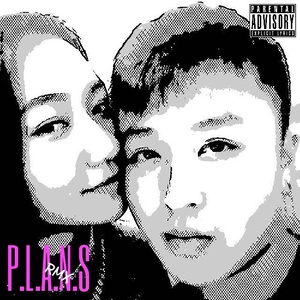 P.L.A.N.S RMX