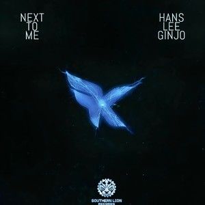 DJ Hans - Next to me