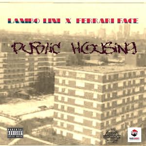 Public Housing (Explicit)