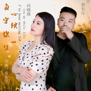 真心守候你一生 (DJ版)