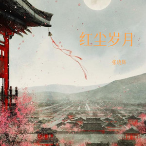 红尘岁月封面