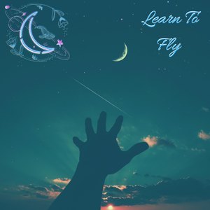 Learn to Fly