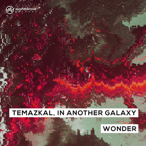 Wonder (Extended Mix)