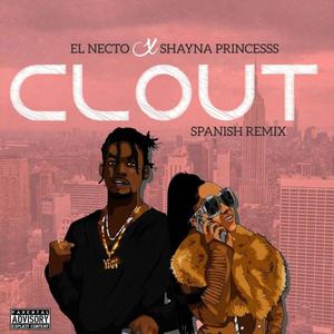 Clout (feat. Shayna Princesss) [Explicit]