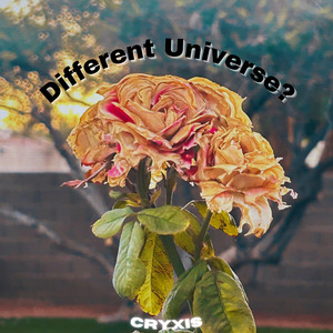 Different Universe? (Slowed Slowed)