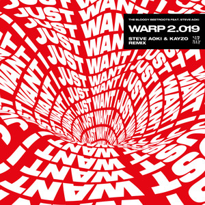 Warp 2.019(feat. Steve Aoki) (Steve Aoki & Kayzo Remix)