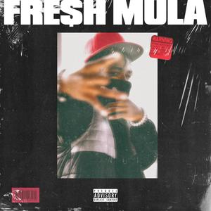 Fresh Mula EP (Explicit)