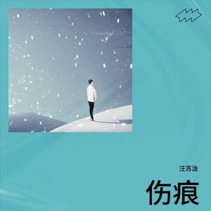 伤痕