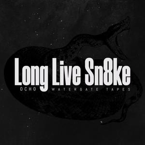 Long Live Sn8ke (feat. D100) [Explicit]