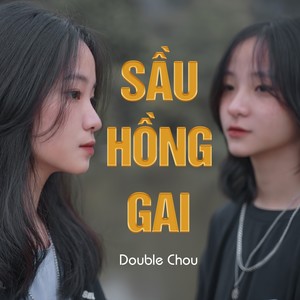 Sầu Hồng Gai