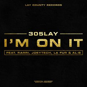 I'm On It (feat. Rarri, JoeyTech, La Fur & AL-B) (Explicit)