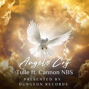 Angels Cry (feat. Cannon NBS) [Explicit]