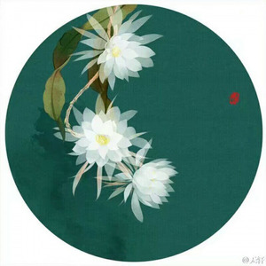 剧本