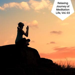 Relaxing Journey Of Meditation Life, Vol. 03