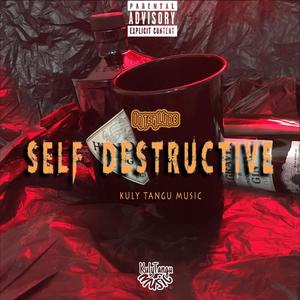 Intelude (Self Destructive) (Explicit)