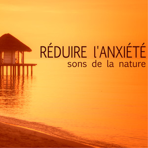 Réduire l'Anxiété - Oasis de paix avec sons de la nature, musique pour dormir